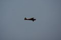 dsc03519.jpg